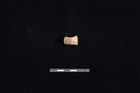 陶把藏品圖，第1張